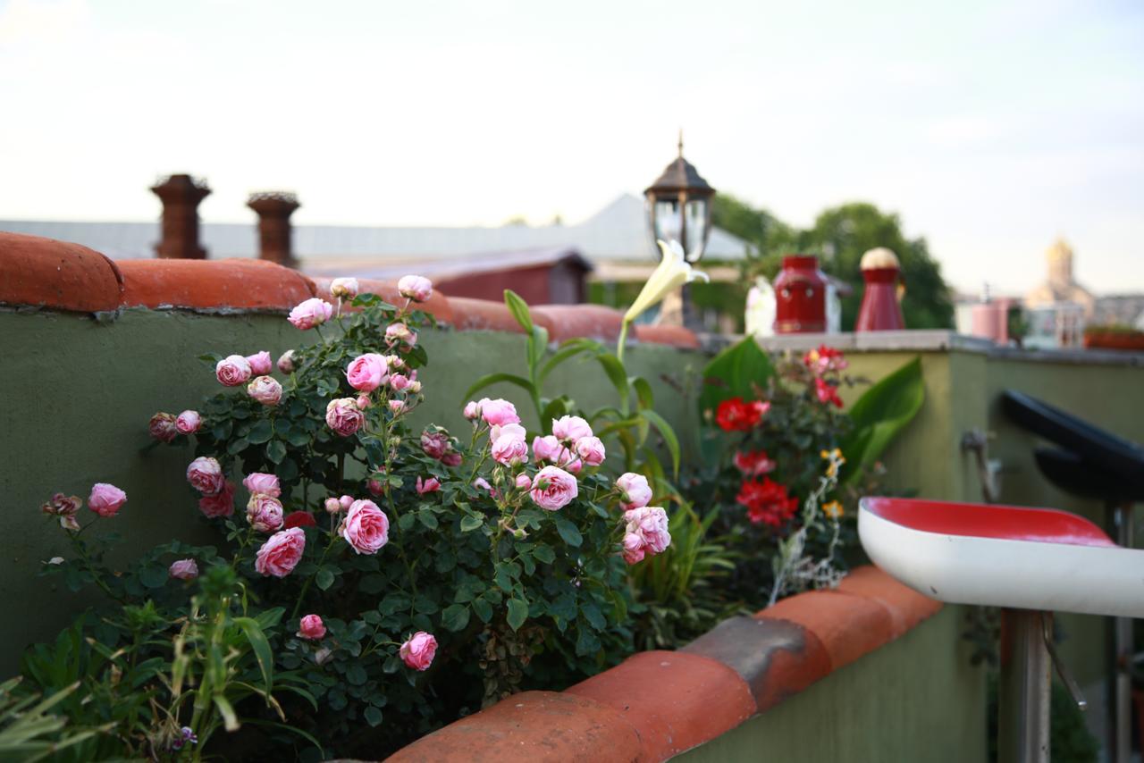 Terrace Garden Boutique Hotel Тбілісі Екстер'єр фото